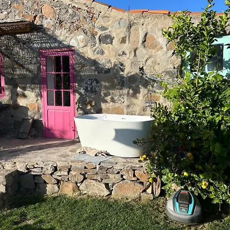 Hébergement de vacances Finca Rosa Granadilla De Abona