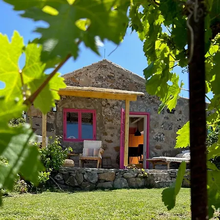 Finca Rosa Granadilla De Abona
