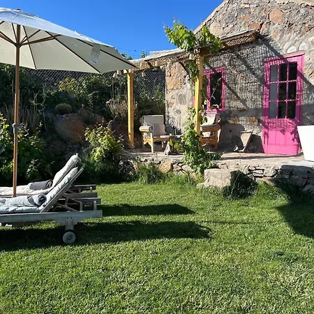 Finca Rosa Hébergement de vacances Granadilla De Abona